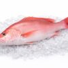 Red Snapper (Kakap Merah)