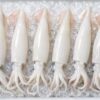 img43 Squid (Cumi-Cumi)