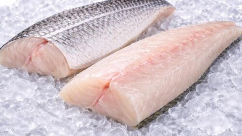 White Snapper Fillet (Fillet Kakap Putih)