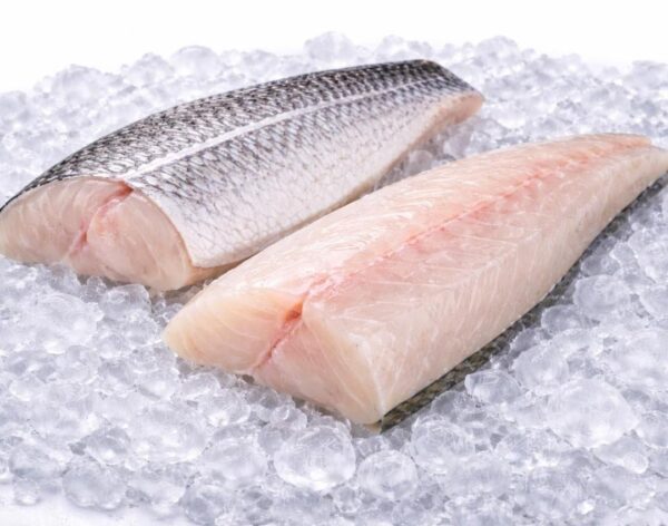 White Snapper Fillet (Fillet Kakap Putih)